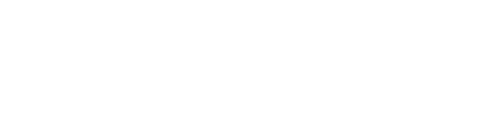 Center for Western Balkans Studies
