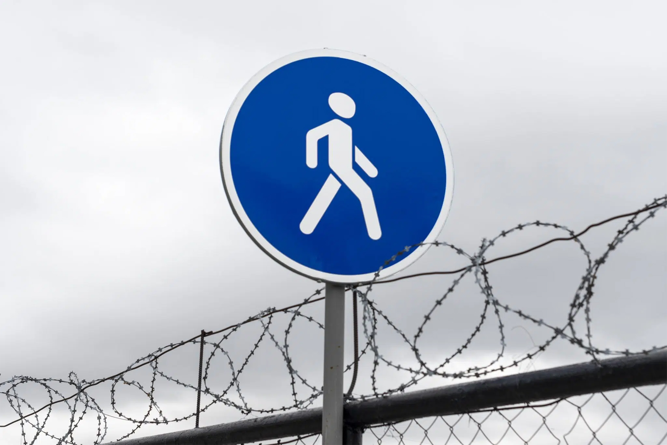 Како су новинари Детектора пронашли руског шпијуна (Нино Билајац)