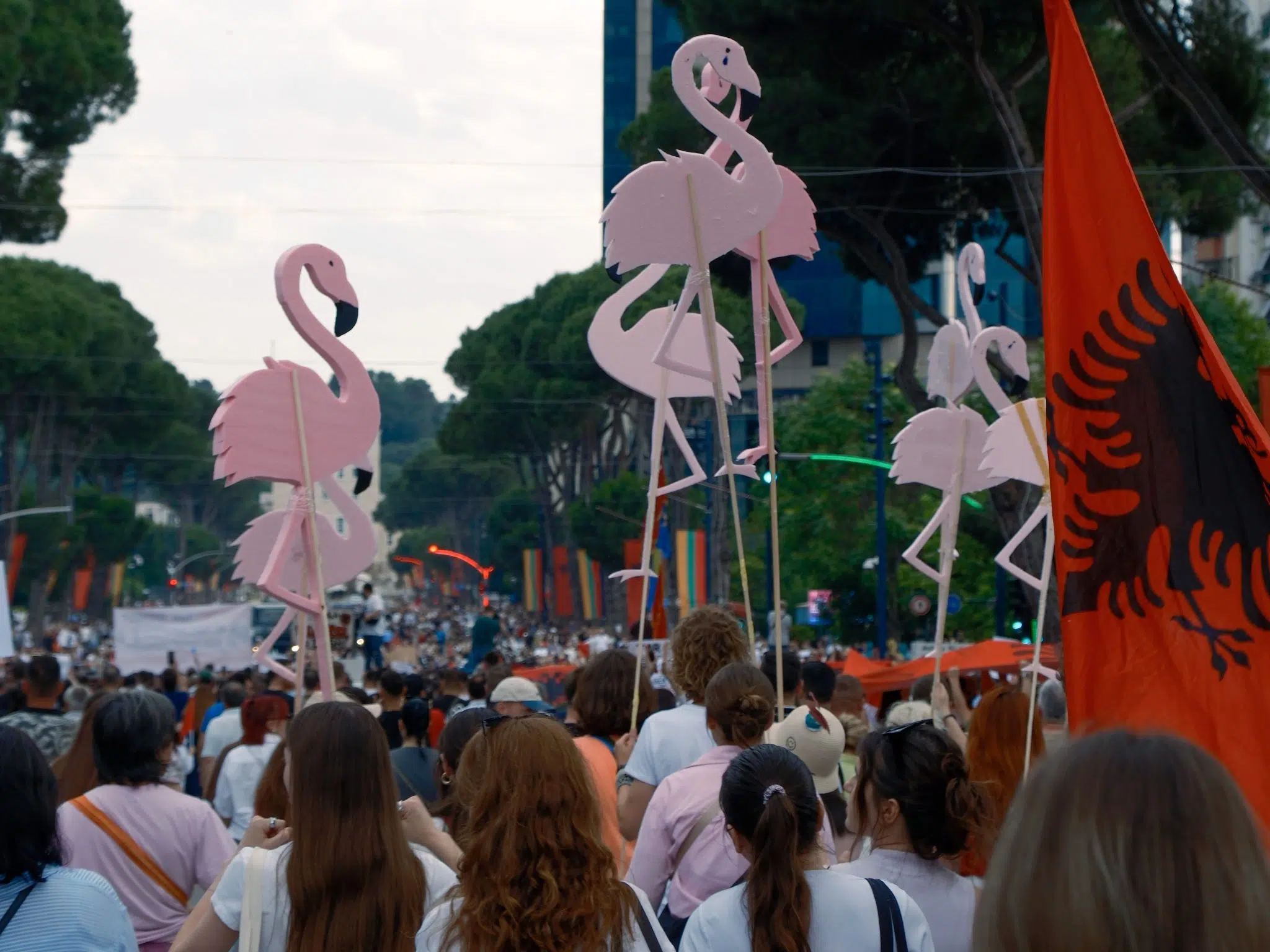 Izvještaj o situaciji na Zapadnom Balkanu 04.06.2026